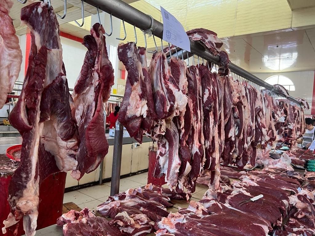 QR-код аркылуу азырынча бодо малдын сапатын гана текшерүүгө болот