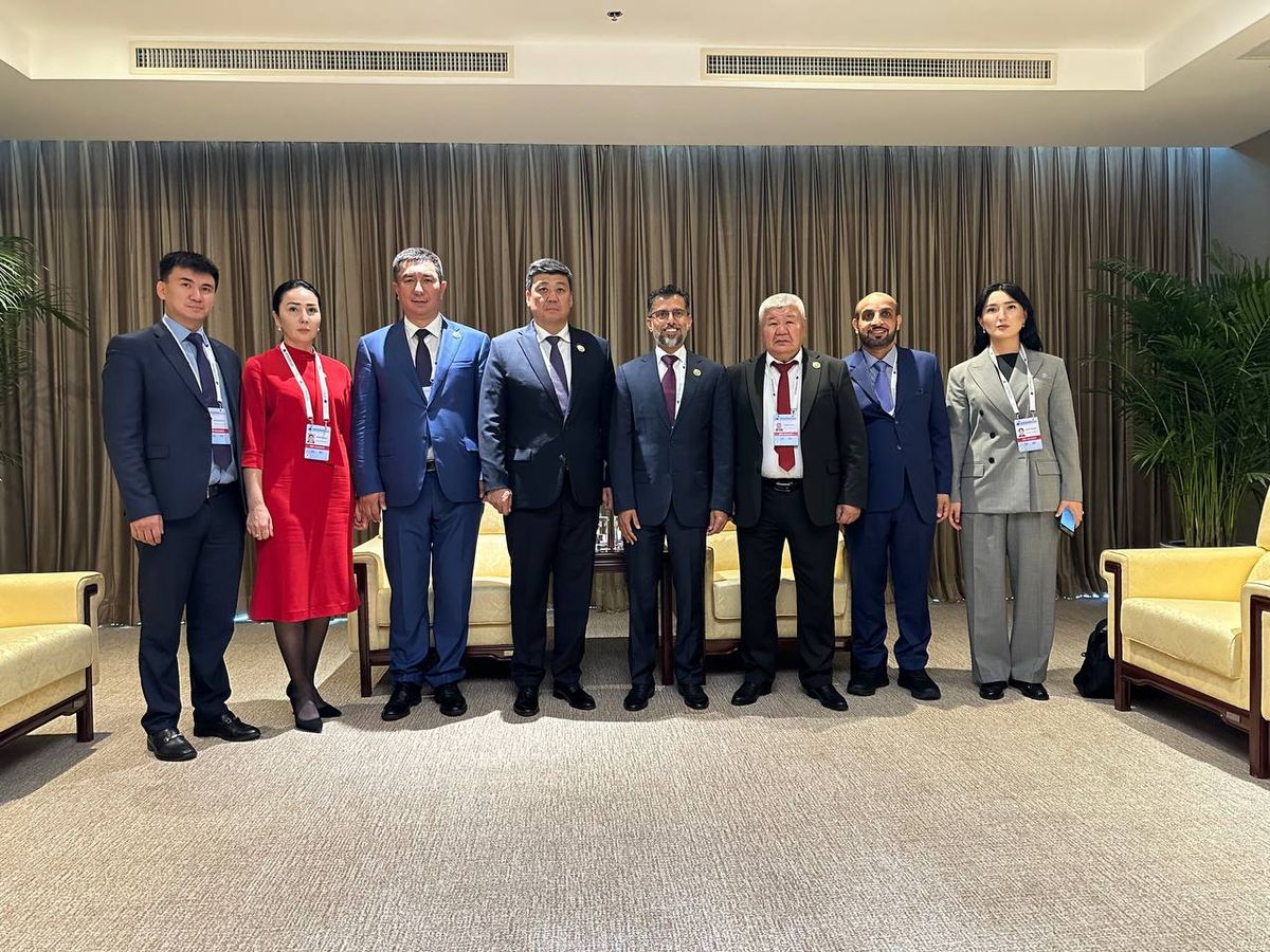 БАЭ Кыргызстан менен энергетика багытында кызматташууга кызыкдар