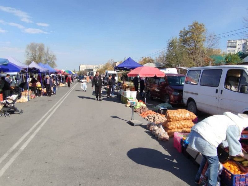Бишкектин Свердлов районунда айыл чарба жарманкелери өтүүдө