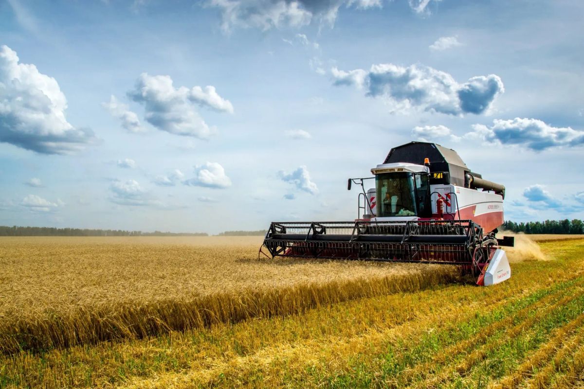 16 айыл чарба кластерлерине 17 млрд сом бөлүнөт