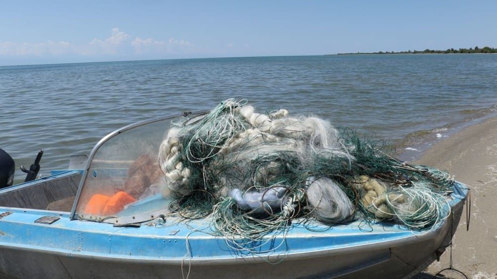 Кыргызстанга синтетикалык торлорду алып кирүүгө тыюу салынды