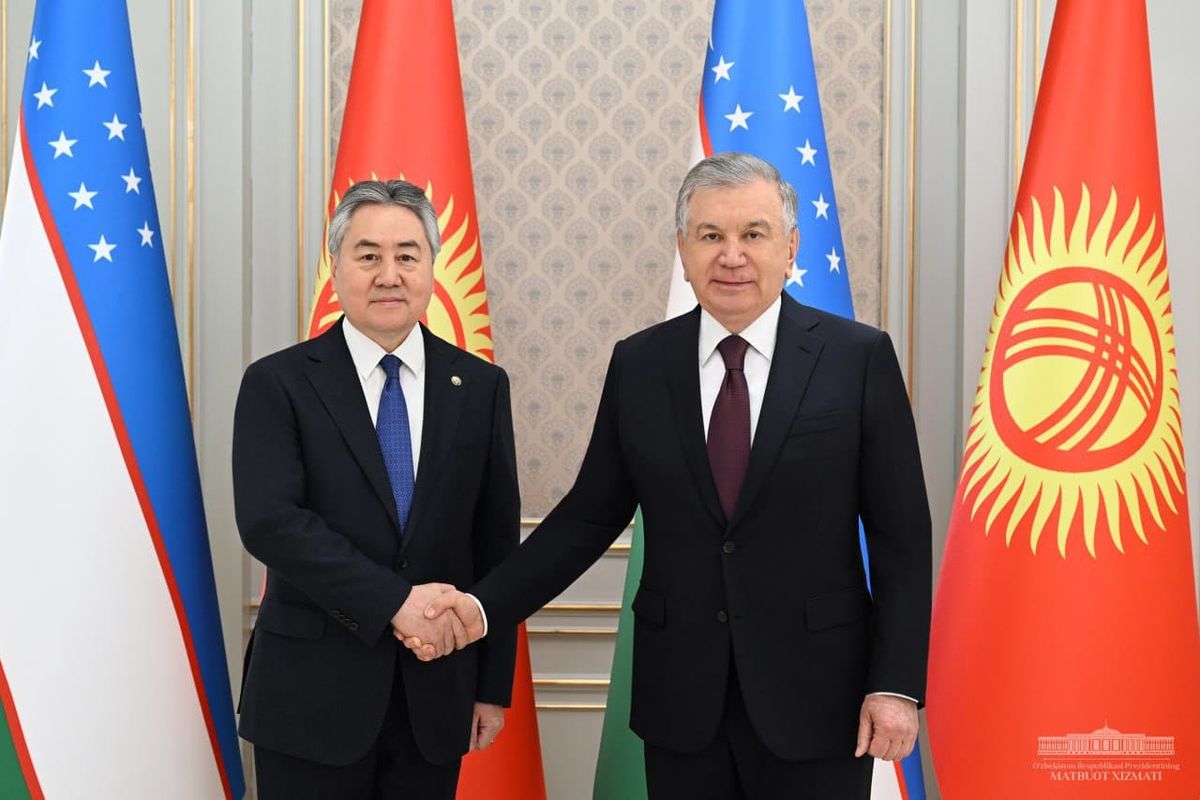 Жээнбек Кулубаев Өзбекстандын президенти менен жолукту