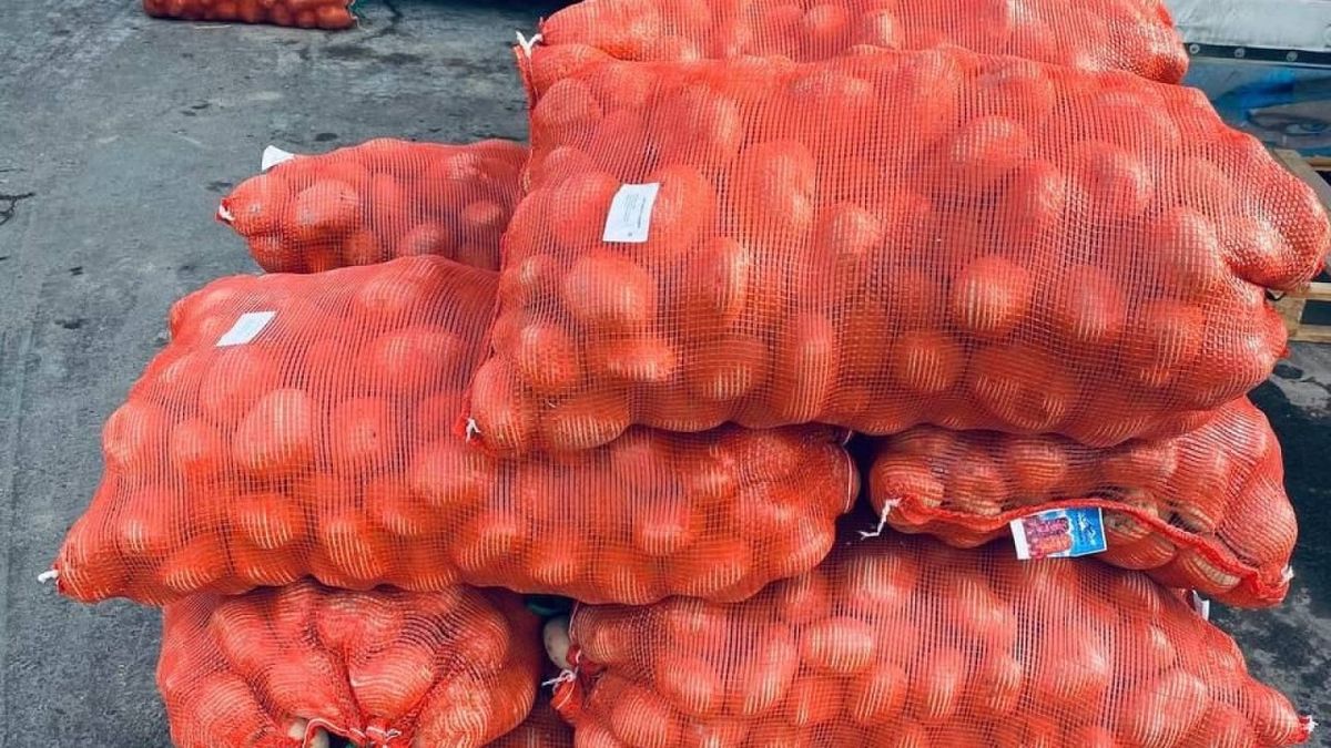 Нарын жана Ысык-Көлдүн картошкасынын биринчи партиясы Ташкентке жеткирилди