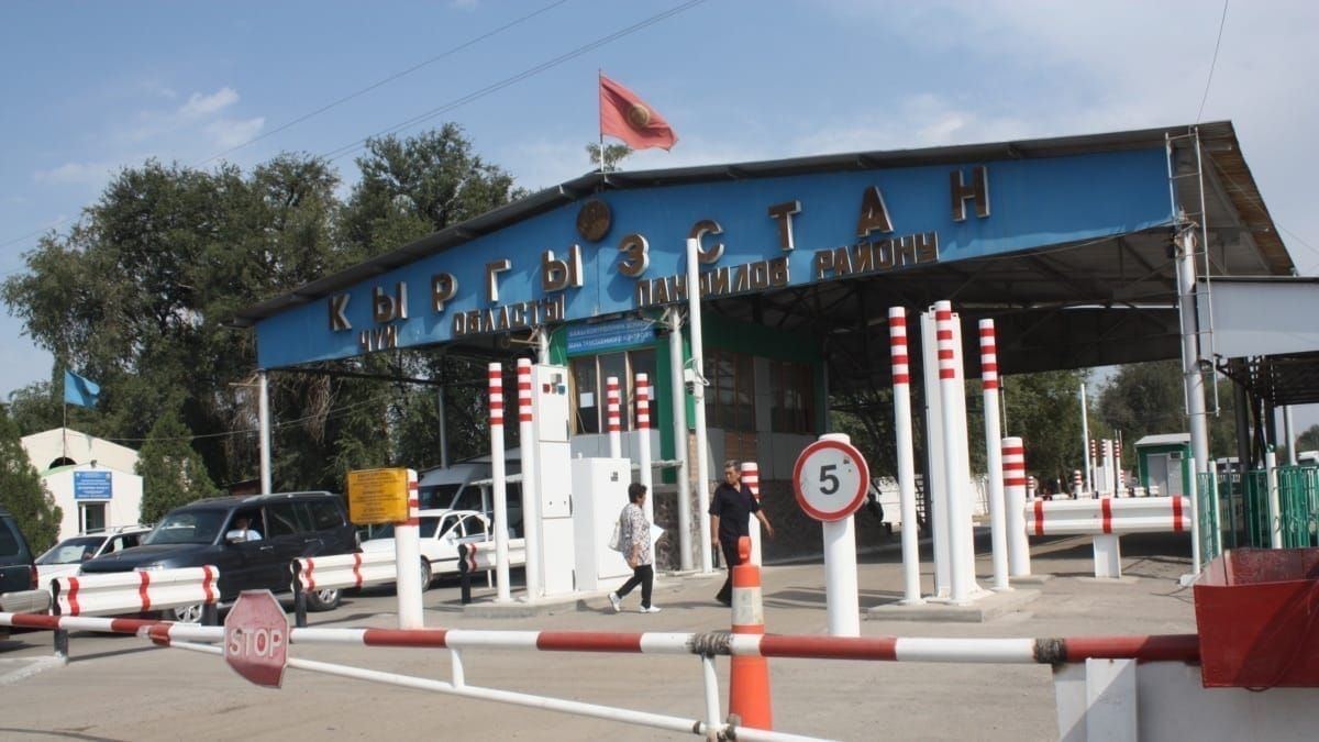 Кыргызстанга Казакстандан жараксыз документтер менен 22 тонна беде үрөнүн алып келүүгө аракет кылышкан