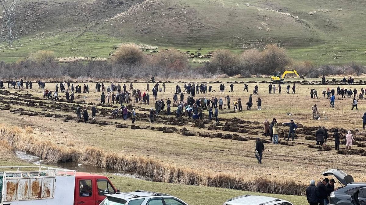 Талас облусунда беш миң көчөт отургузулду – долбоорду «Альянс Алтын» колдоду