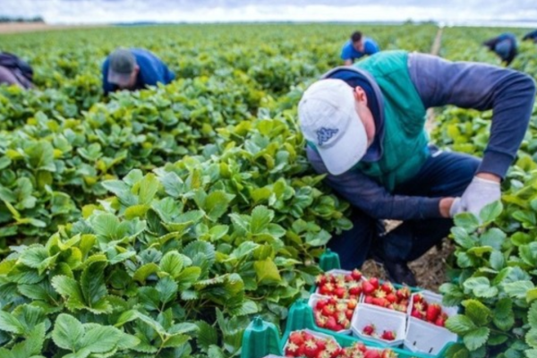 79,20 млн сом жеңилдетилген кредит каржыланды