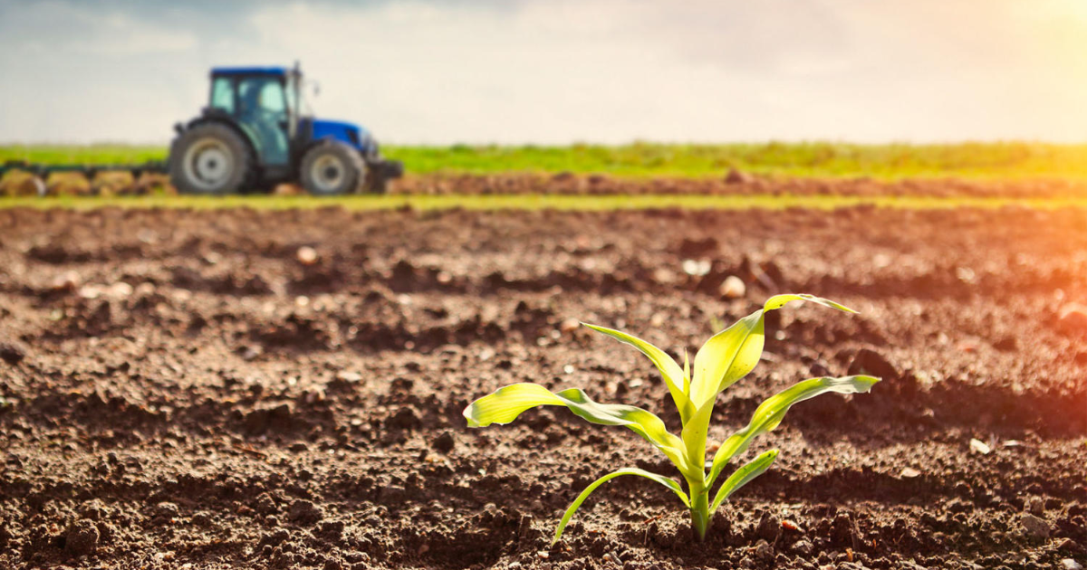 Топуракты изилдеген лабораториялар түшүмдү көбөйтүүгө шарт түзүүдө