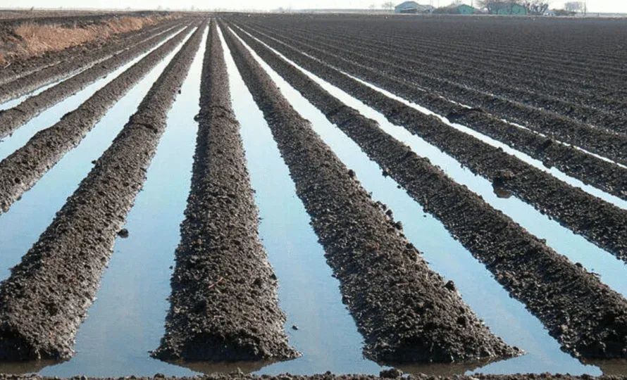 Күзгү сугат алкагында 220 миң гектар жер сугарылат