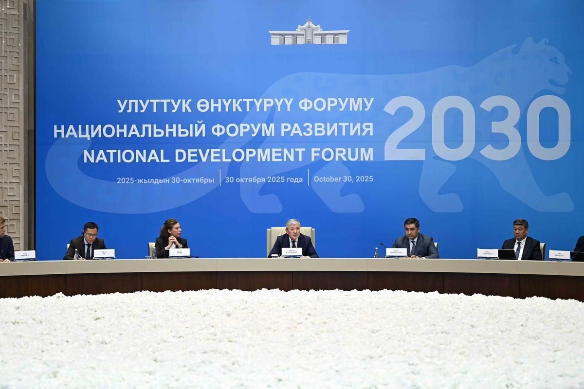 Касымалиев: Кыргызстандын ИДПсы 2030-жылга чейин 30 млрд долларга жетет