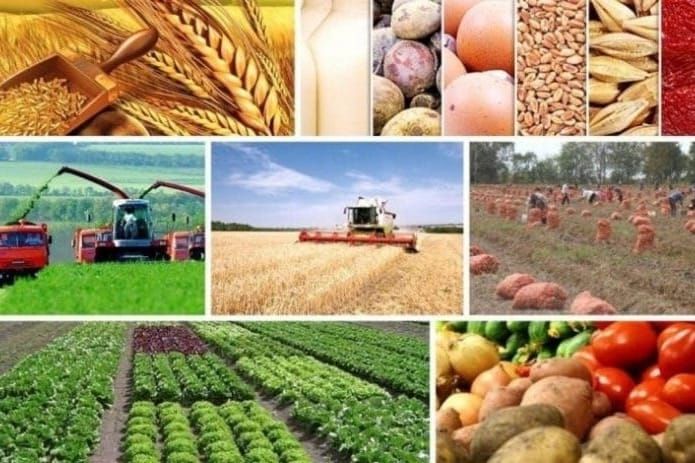 Өлкө айыл чарбасын каттоо 2026-жылга жылдырылды