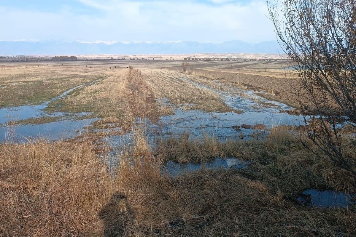 Республика боюнча күзгү ным топтоо сугаты  95%га аткарылды