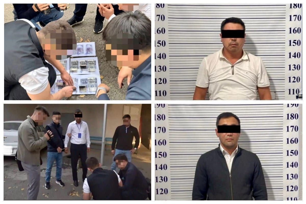 Манас шаарында айдоочулук күбөлүк берүүдө коррупциялык фактылар аныкталды