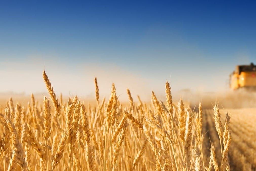 Кыргызстан тышкы соода жүгүртүүсүндө кандай жылыштар бар?