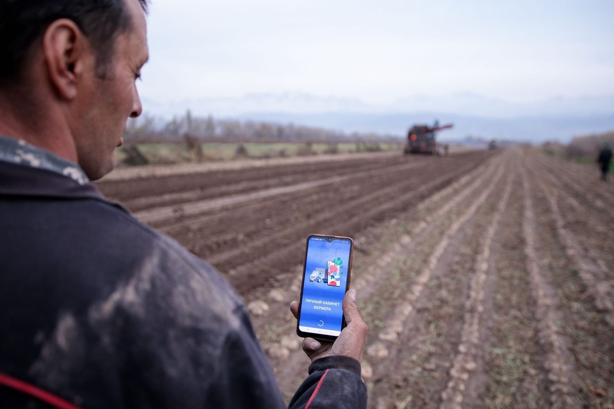 Санариптешүү - кант кызылчасын өндүргөн дыйкандардын түйшүгүн азайтууда
