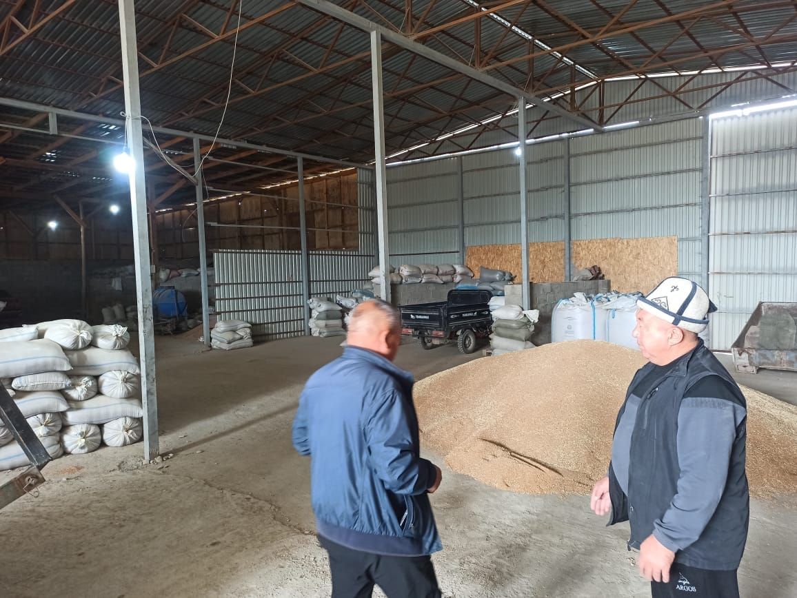 Россиядан 3% жеңилдетилген насыяга 40 тонна буудай үрөнү алынды