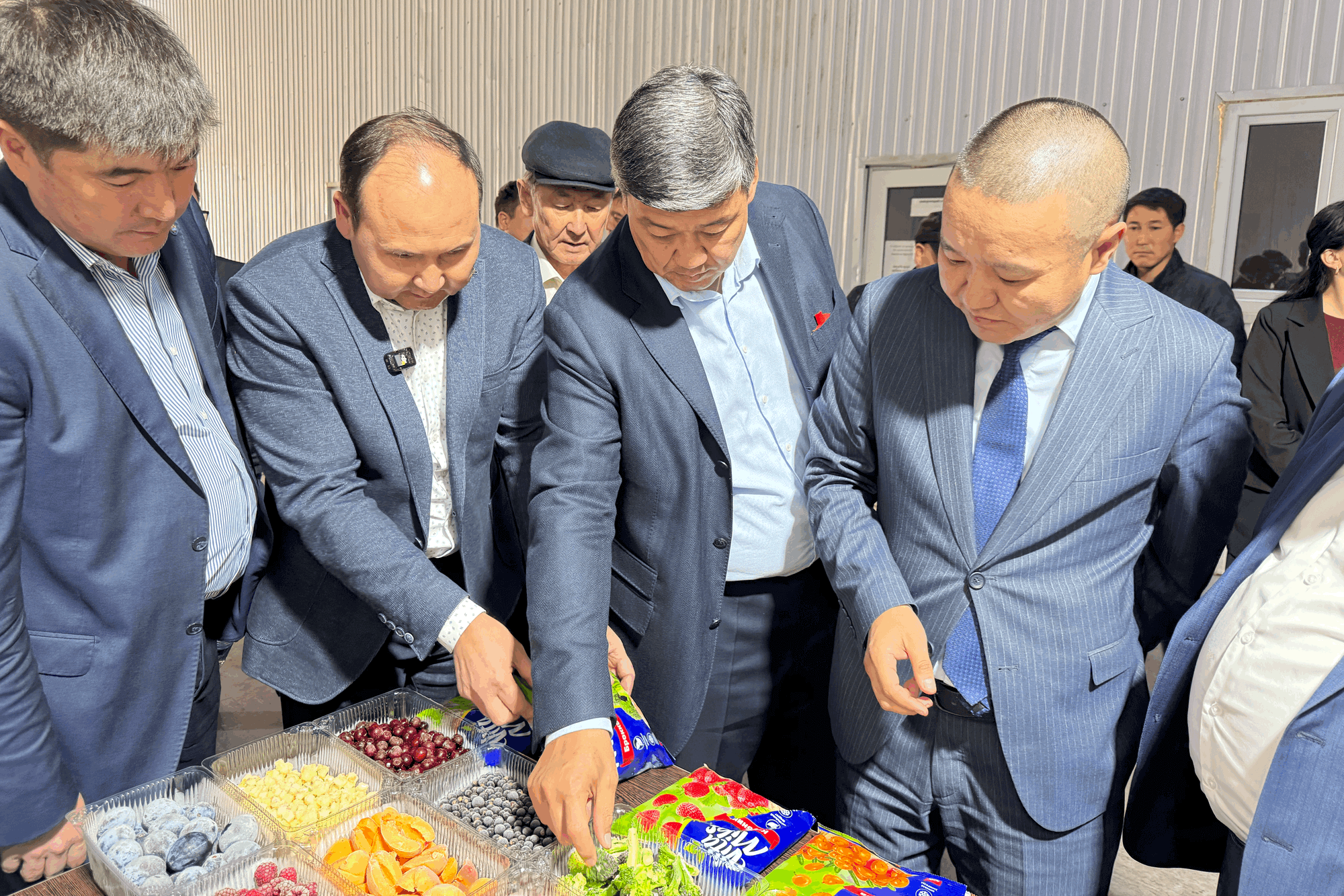 Чүйдө мөмө-жемиштер IQF технологиясы менен кайра иштетилип жатат