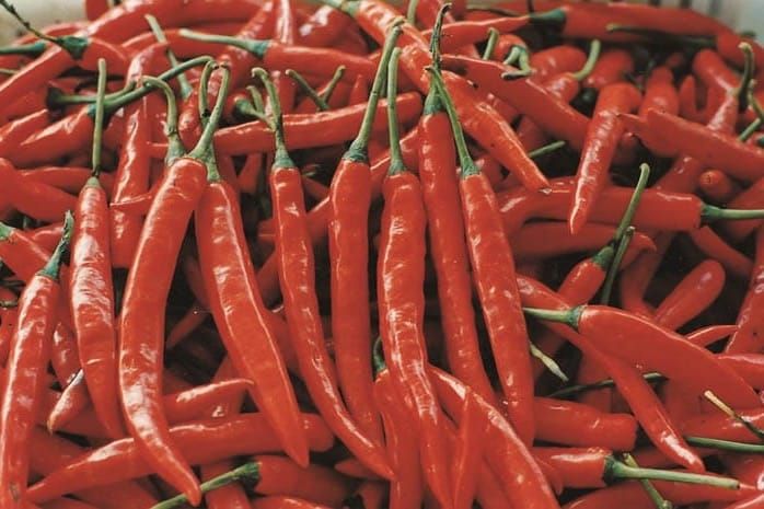 Б.Төрөбаев Өзгөндөгү калемпир, аджика чыгарган ишканага барды