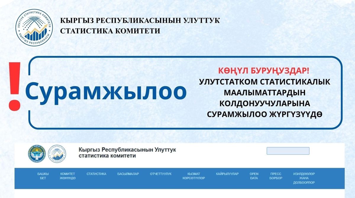 Статком колдонуучулардын канааттануу деңгээли боюнча сурамжылоо жүргүзүүдө