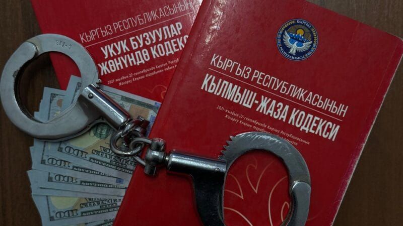 ИИМ шайлоочуларга мыйзамдуулукту сактоону эскертти