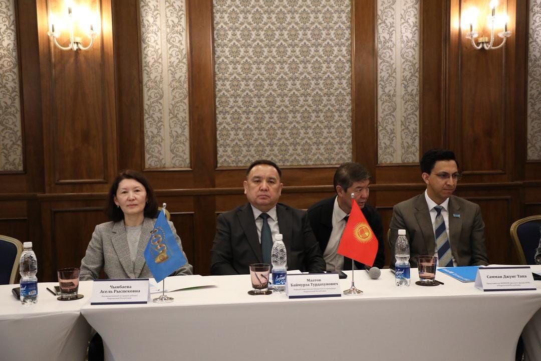 Балдарды кылмыш жоопкерчилигинен чыгаруу процесси жөнгө салынды