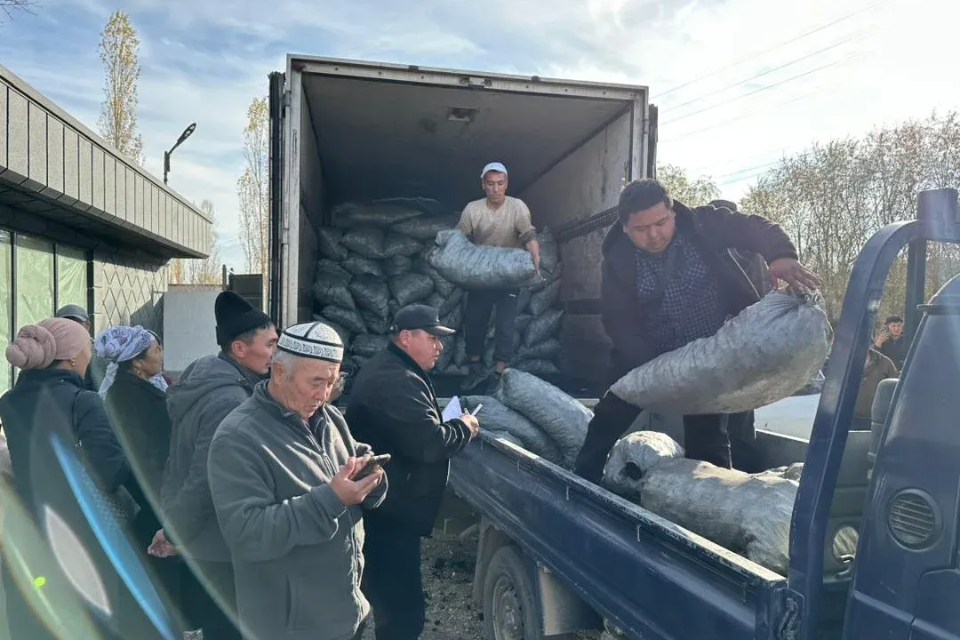Баткен элине арзан көмүр жеткириле баштады