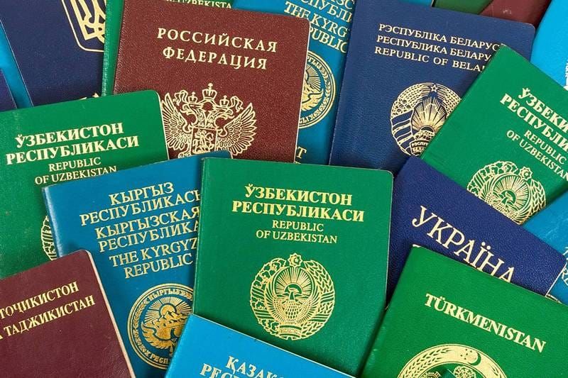 Эки жылда чет өлкөлүк мекендештерге 350дөн ашык "Мекен-карт" берилген