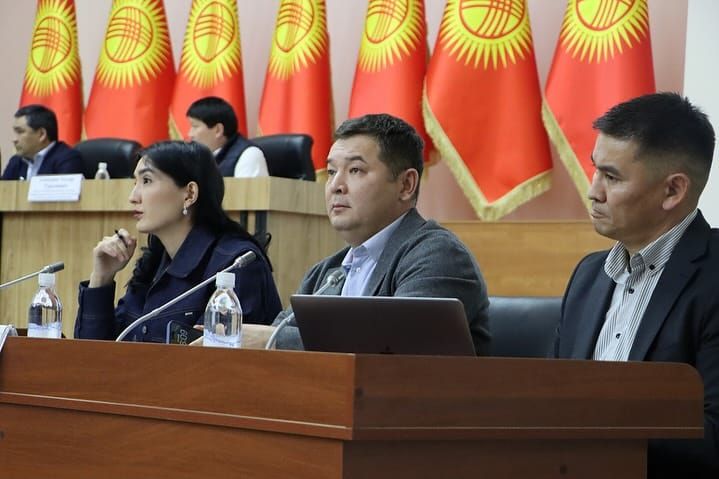 Экономика министрлиги тигүү тармагын өнүктүрүүнү талкуулады