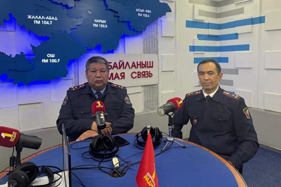 Шайлоого байланыштуу мыйзам бузуу фактылары боюнча 86 учур катталды