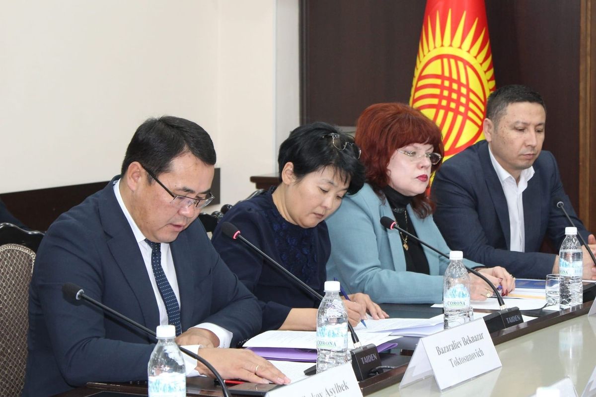 Кыргызстан менен Австрия транспортту санариптештирүүдө кызматташат