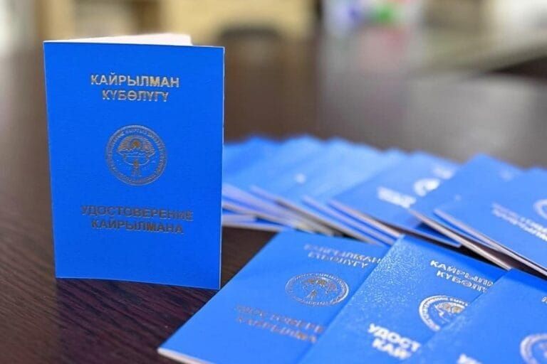 9 айда 711 этникалык кыргыз кайрылман макамына ээ болду