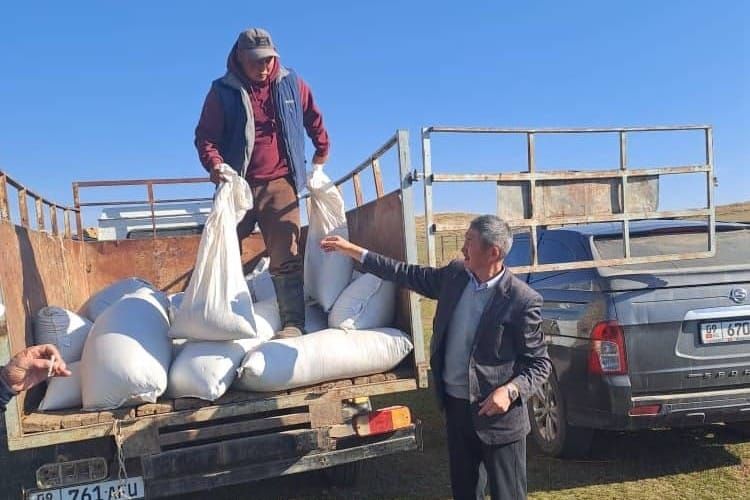 Өлкө боюнча 3,2 миң гектар жайытка чөп үрөндөрү себилди