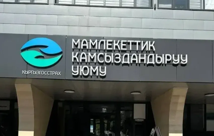 Мамлекеттик камсыздандыруу уюму 11 айда 127,6 млн сомдон ашык компенсация төлөдү