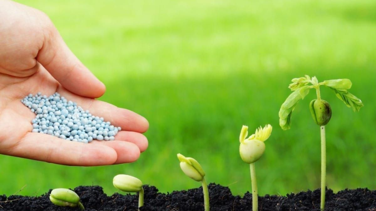 Пестициддерди жана агрохимикаттарды каттоо санариптештирилет