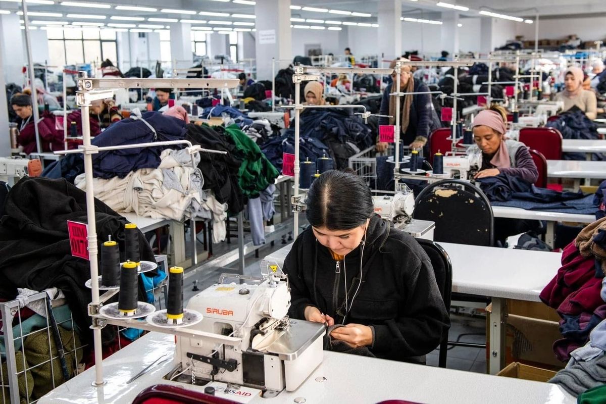 Тигүү тармагына карата салык системасы өзгөртүлөт