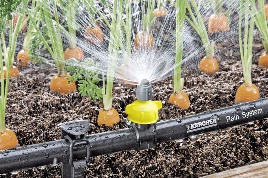 Айыл чарба министри дыйкандарды заманбап сугаруу системаларын колдонууга чакырды