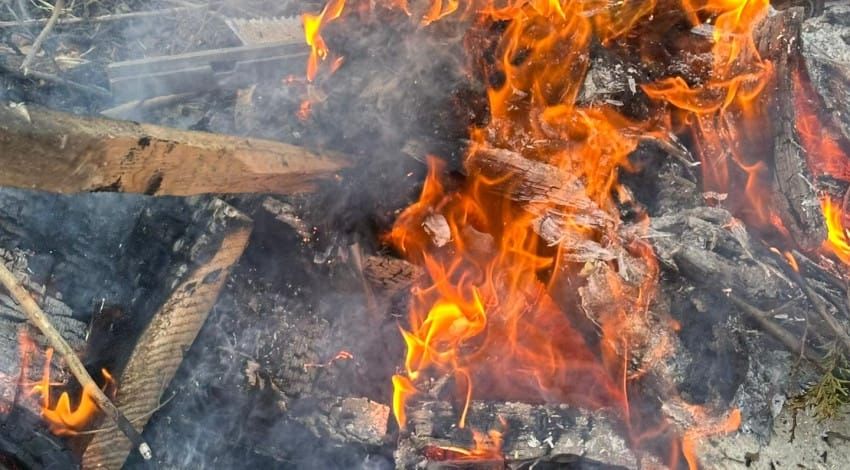 Он бир айда кургак чөп жана таштанды өрттөгөндөргө 2,9 млн сом айып салынды