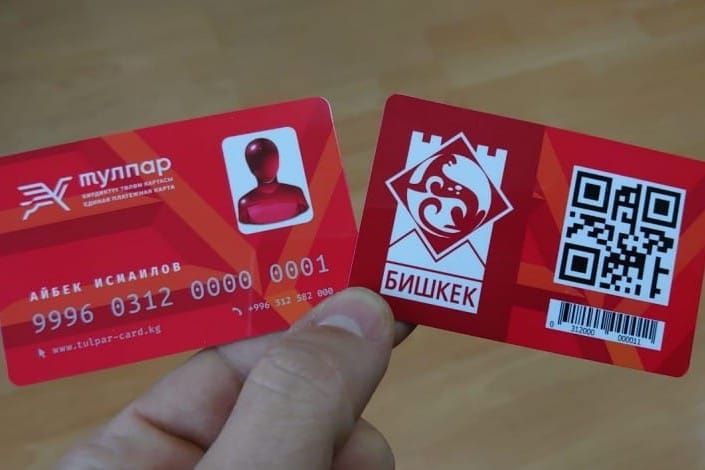 Бир жыл ичинде 20 миң жеңилдетилген "Тулпар" картасы берилди