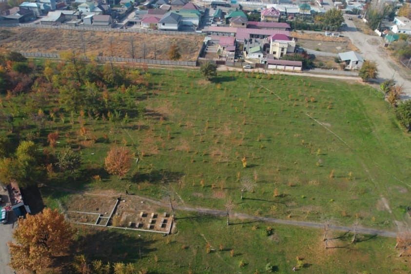 Бишкек жашыл зоналары акыркы жылдарда 20%га кыскарган