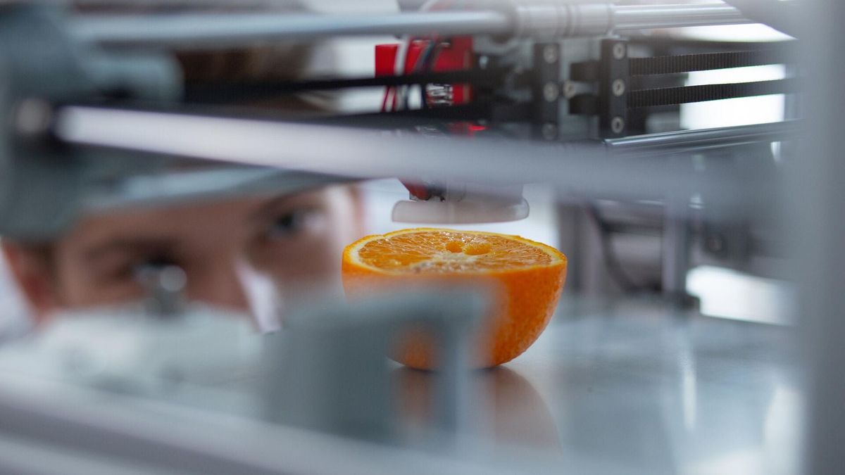 Италияда калдыктардан  3D-принтерде ысылыктарды(закуска) басып чыгарышат