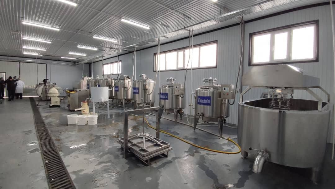 Ак-Талаа районунда сүттү кайра иштетүүчү ишкана ачылды