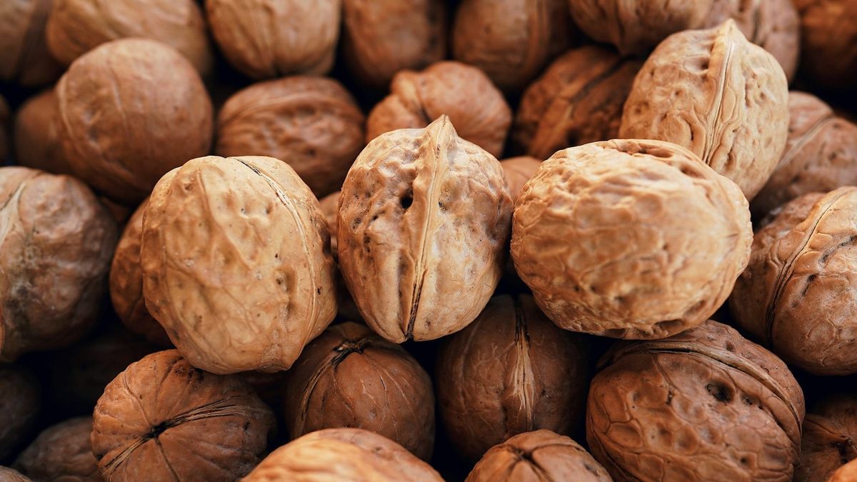 2025-жылы Жалал-Абаддан 3,8 млн кг жаңгак экспорттолгон