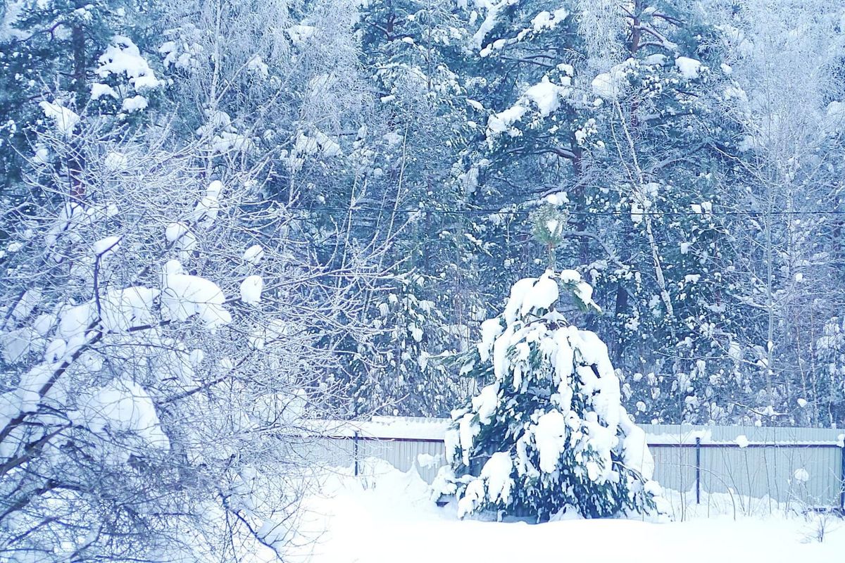 ӨКМ шашылыш билдирүү таратты