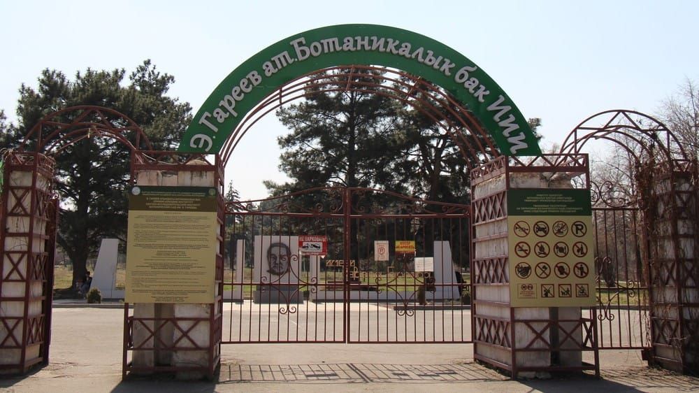 Э.Гареев атындагы ботаникалык бакка футбол аянтчалары курулат