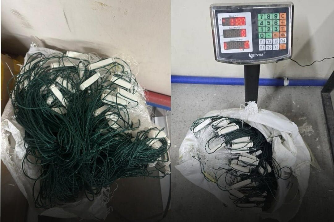 Кытайдан почта аркылуу келе жаткан балык уулоочу торлор табылды