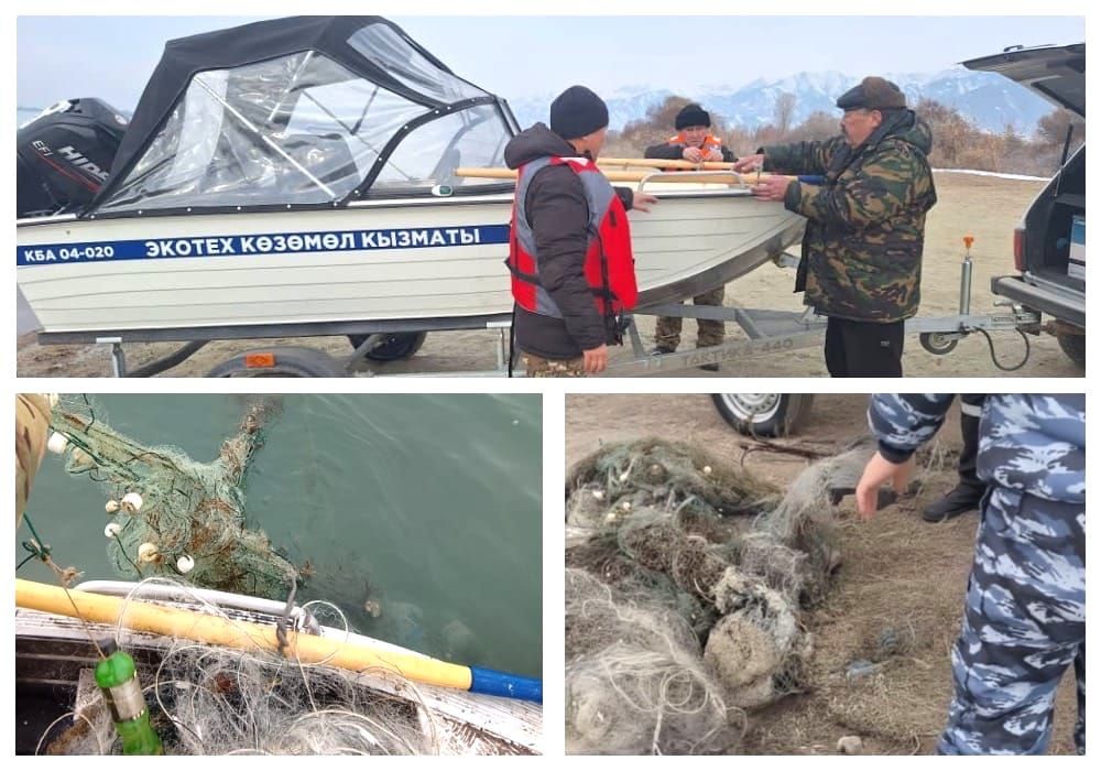 Ысык-Көлдөн 400 метрлик мыйзамсыз тор чыгарылды