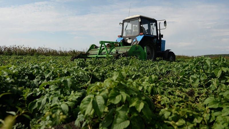 18–19–20–21-февраль күндөрү "АгроДиалог–2026" агроөнөр жай форуму өтөт