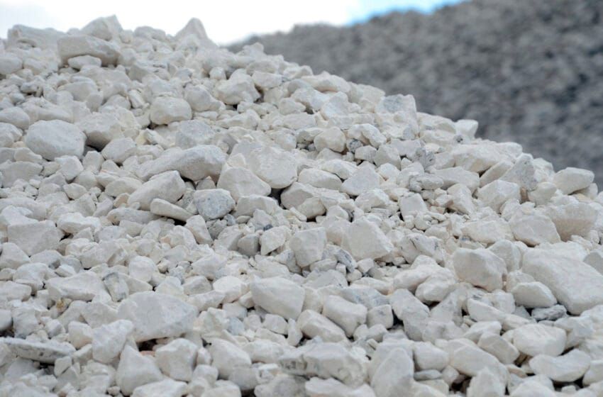 Бийлик акиташ-ракушечниктерди тышка чыгарууга тыюу салат