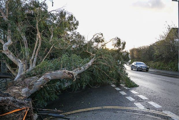 Францияда «Горетти» аттуу циклондон улам 380 000 үй жарыксыз калды