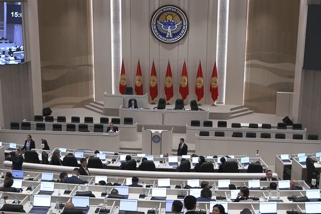 Тынчтык жөнүндө мыйзам долбоорун Жогорку Кеңеш биринчи окууда кабыл алды