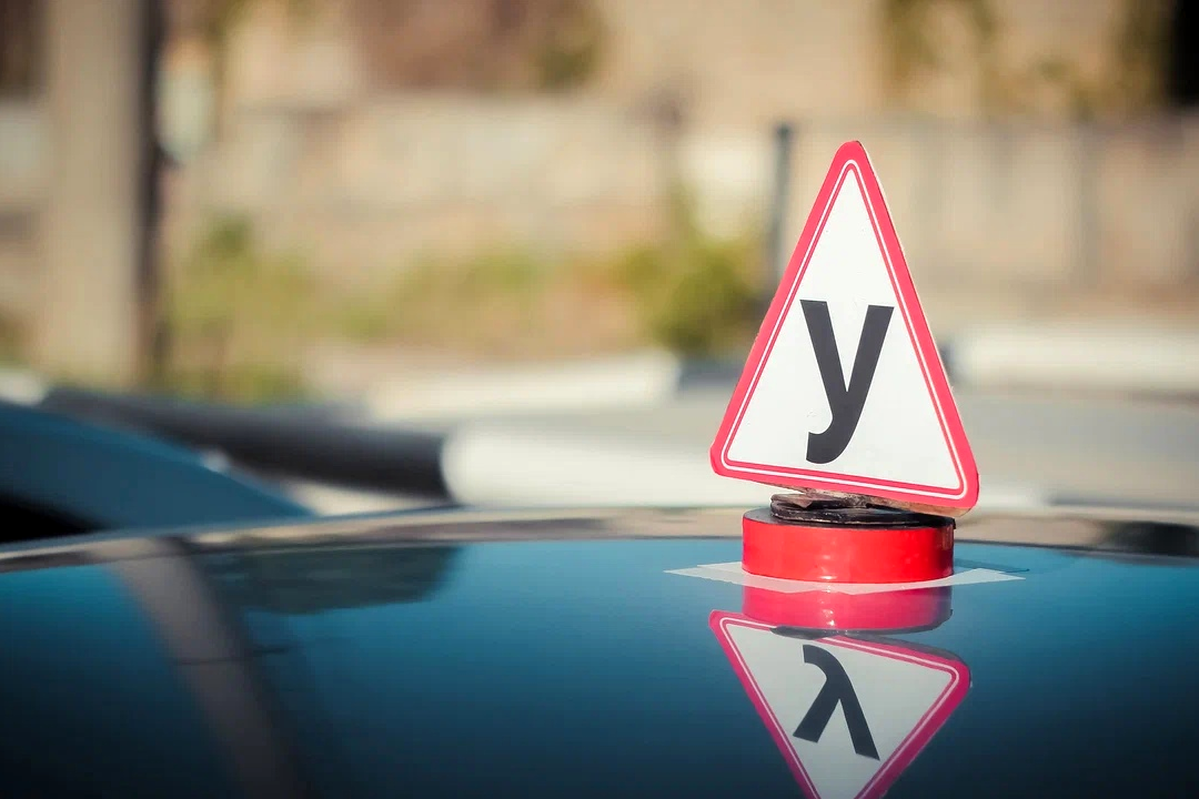 Мамлекеттик авто мектептерде окуу баасы 19 миң сом болот